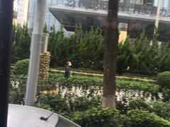 -青岛富力艾美酒店