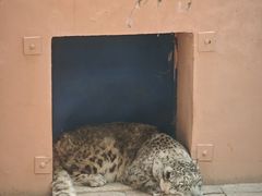 -青藏高原野生动物园