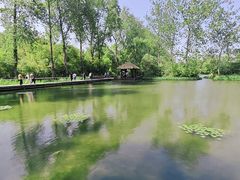 -溱湖国家湿地公园