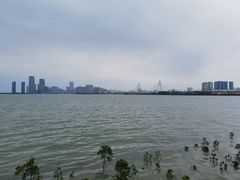 -万绿园