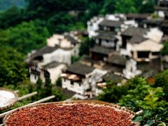 -篁岭景区