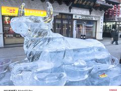 -新兴园饺子馆(河南街店)