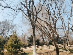 -湛山寺