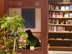 -二酉书店TOYOU BOOKS