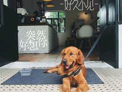 -彳亍咖啡·这里(水湾路店)