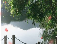 -杭州半山国家森林公园