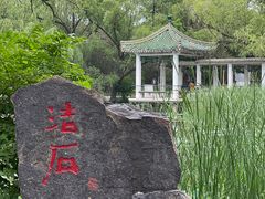 -北陵公园