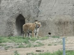 -秦皇岛野生动物园