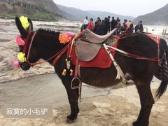 -陕西黄河壶口瀑布旅游区