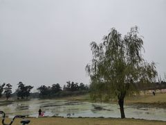 -两河城市森林公园