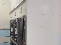-中农国际动物医院24小时·猫科·骨科·急重症中心