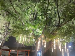 -凤城·食都