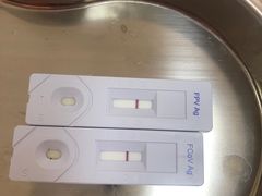 -爱妮康宠物医院·干细胞免疫细胞·肿瘤·心脏(张江店)