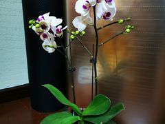 -双季花艺园艺市场(浦东店)