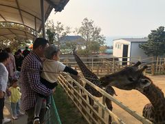 -西霞口神雕山野生动物世界