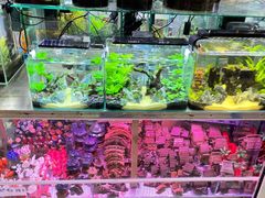 -三旗百汇商品城