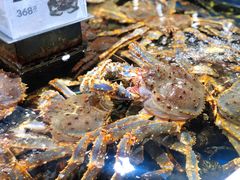-盒马鲜生(红莲店)