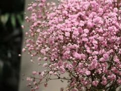 -花诺鲜花(北京路店)