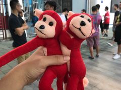 -天河体育中心