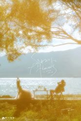 -蒙太奇婚纱摄影(万达店)