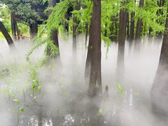 -东湖落雁景区