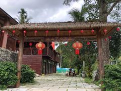 -海南热带雨林国家公园吊罗山景区