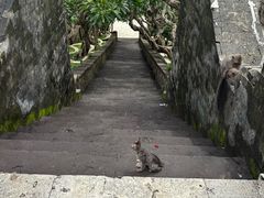 -乌鲁瓦图寺