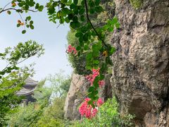 景点-大阳山国家森林公园