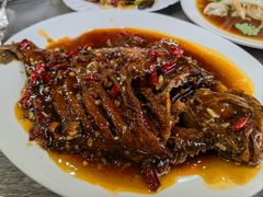 -林之六八·6886大连老菜馆