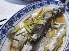 -洞天食府(北大街店)