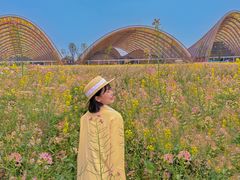 -中国天府农业博览园