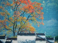 -塔川景区