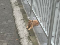 -一天下大厦