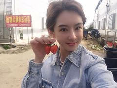-喜杨洋草莓采摘园