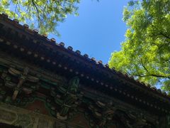 -北京国子监胡同