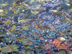 -成都浩海立方海洋公园