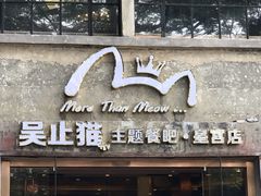 门面-more than meow吴止猫主题餐厅(承德 中船汇店)