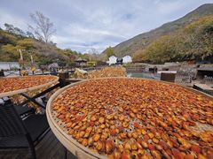 -荷塘味道(水长城店)