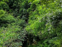 -北京西山国家森林公园