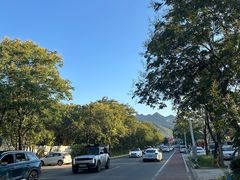 -都江堰石锅鱼