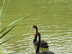 -曼听御花园
