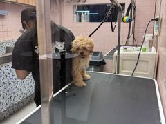 -FAELING PETS美天灵宠物(富力广场店)