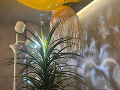 -施奈儿.洗头頭療.按摩SPA.采耳(上梅林店)