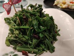 凉拌丝瓜尖-首旅京伦酒店·8号时尚餐厅