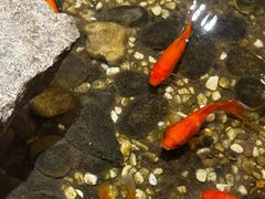 -邈墨茶馆(凤起路店)