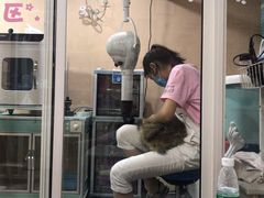 -十年猫舍·猫咪专门店(普陀店)