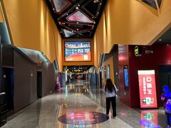 -万达影城(闵行颛桥万达广场杜比影院店)