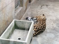 -西安秦岭野生动物园