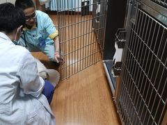 -北京观赏动物医院·24小时大型综合·猫专科·异宠专科