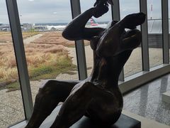 -米兰马尔彭萨国际机场